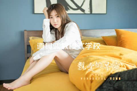 道具调教模式学校